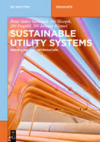 Sustainable Utility Systems : Modelling and Optimisation (De Gruyter Textbook)