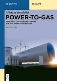 Power-to-Gas : Renewable Hydrogen Economy for the Energy Transition (De Gruyter Textbook)