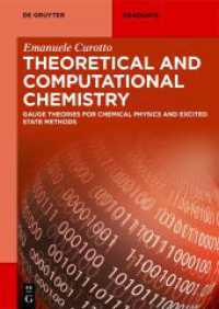 Theoretical and Computational Chemistry : Gauge Theories for Chemical Physics and Excited State Methods (De Gruyter Textbook)