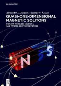 Quasi-One-Dimensional Magnetic Solitons : Riemann Problem, Solitons, and Inverse Scattering Method