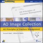 AO Image Collection 2001-2, 2 CD-ROMs (AO Publishing) （2003. With 1169 ill. and photos, insert: booklet. 12,5 cm）