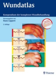 Wundatlas : Kompendium der komplexen Wundbehandlung （2., überarb. Aufl. 2006. XII, 252 S. m. 554 Abb. 31,5 cm）