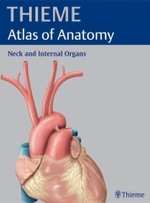 Thieme解剖学アトラス：頸部・内臓<br>Thieme Atlas of Anatomy : Neck and Internal Organs