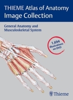 Thieme解剖学アトラス画像コレクション：一般解剖学と筋骨格系（DVD）<br>Thieme Atlas of Anatomy Image Collection : General Anatomy and Musculoskeletal System