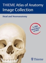 Thieme解剖学アトラス画像コレクション：頭部・神経解剖（DVD）<br>Thieme Atlas of Anatomy Image Collection : Head and Neuroanatomy
