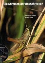 Die Stimmen der Heuschrecken, m. DVD （2009. 144 S. m. 50 Farbfotos u. zahlr. SW-Abb. 21 cm）