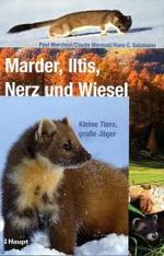 Marder, Iltis, Nerz und Wiesel : Kleine Tiere, große Jäger （2010. 192 S. m. 120 Farbfotos. 23,5 cm）