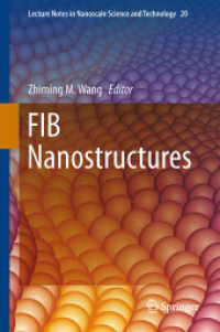 FIB Nanostructures (Lecture Notes in Nanoscale Science and Technology) （2013）