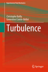 Turbulence (Experimental Fluid Mechanics)