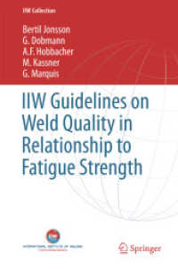 IIW Guidelines on Weld Quality in Relationship to Fatigue Strength (Iiw Collection)