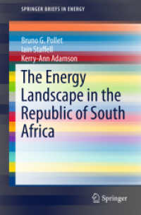 The Energy Landscape in the Republic of South Africa (Springerbriefs in Energy)