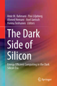The Dark Side of Silicon : Energy Efficient Computing in the Dark Silicon Era