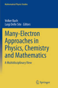 Many-Electron Approaches in Physics, Chemistry and Mathematics : A Multidisciplinary View (Mathematical Physics Studies)