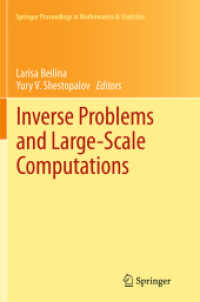 Inverse Problems and Large-Scale Computations (Springer Proceedings in Mathematics & Statistics)