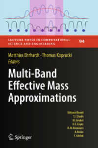 Multi-Band Effective Mass Approximations : Advanced Mathematical Models and Numerical Techniques (Lecture Notes in Computational Science and Engineering)