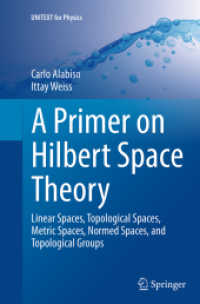 A Primer on Hilbert Space Theory : Linear Spaces, Topological Spaces, Metric Spaces, Normed Spaces, and Topological Groups (Unitext for Physics)