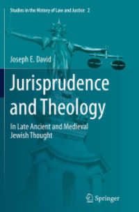 Jurisprudence and Theology : In Late Ancient and Medieval Jewish Thought (Studies in the History of Law and Justice)