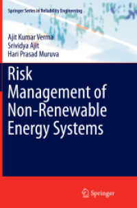 Risk Management of Non-Renewable Energy Systems (Springer Series in Reliability Engineering)