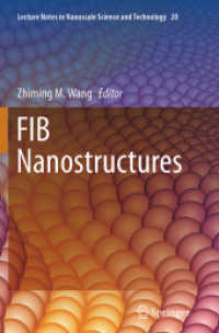 FIB Nanostructures (Lecture Notes in Nanoscale Science and Technology)