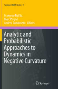 Analytic and Probabilistic Approaches to Dynamics in Negative Curvature (Springer Indam Series)