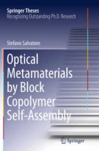 Optical Metamaterials by Block Copolymer Self-Assembly (Springer Theses)