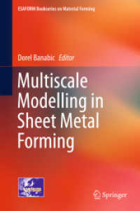 Multiscale Modelling in Sheet Metal Forming (Esaform Bookseries on Material Forming)