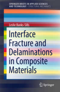 Interface Fracture and Delaminations in Composite Materials (Springerbriefs in Structural Mechanics)