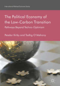 The Political Economy of the Low-Carbon Transition : Pathways Beyond Techno-Optimism (International Political Economy Series)