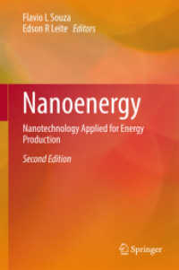 Nanoenergy : Nanotechnology Applied for Energy Production （2ND）