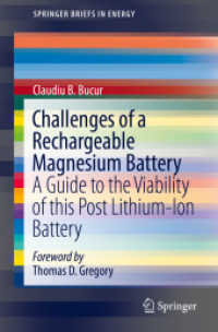 Challenges of a Rechargeable Magnesium Battery : A Guide to the Viability of this Post Lithium-Ion Battery (Springerbriefs in Energy)