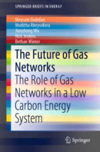 The Future of Gas Networks : The Role of Gas Networks in a Low Carbon Energy System (Springerbriefs in Energy)