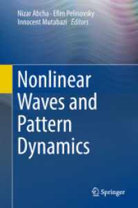 波・パターンの非線形力学<br>Nonlinear Waves and Pattern Dynamics