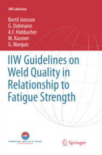 IIW Guidelines on Weld Quality in Relationship to Fatigue Strength (Iiw Collection)