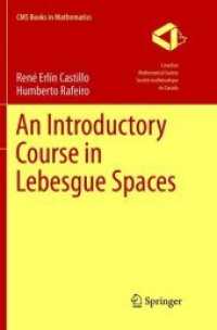 An Introductory Course in Lebesgue Spaces (Cms Books in Mathematics)