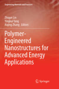 Polymer-Engineered Nanostructures for Advanced Energy Applications (Engineering Materials and Processes)