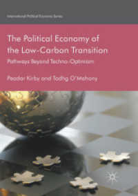The Political Economy of the Low-Carbon Transition : Pathways Beyond Techno-Optimism (International Political Economy Series)