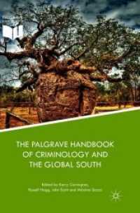 The Palgrave Handbook of Criminology and the Global South