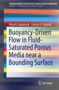Buoyancy-Driven Flow in Fluid-Saturated Porous Media near a Bounding Surface (Springerbriefs in Thermal Engineering and Applied Science)
