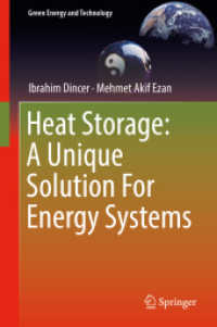 Heat Storage: A Unique Solution for Energy Systems (Green Energy and Technology) （2018）