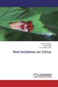 Pest Incidence on Citrus （2017. 72 S. 220 mm）