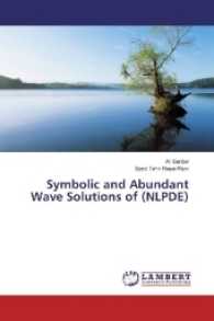 Symbolic and Abundant Wave Solutions of (NLPDE) （2017. 60 S. 220 mm）