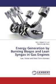 Energy Generation by Burning Biogas and Lean Syngas in Gas Engines : Gas, Power and Heat from Biomass （2017. 104 S. 220 mm）