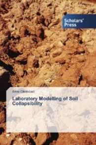 Laboratory Modelling of Soil Collapsibility （2017. 524 S. 220 mm）
