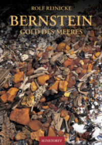 Bernstein : Gold des Meeres （11. Aufl. 2025. 80 S. 22.8 cm）