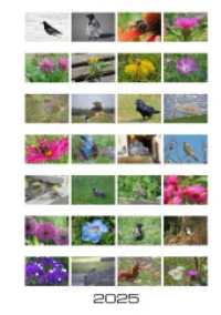 Stadtnatur : Wochenkalender 2025