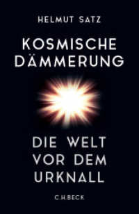 Kosmische Dämmerung : Die Welt vor dem Urknall