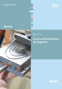 Kunststoffdatenblätter Spritzgießen (DIN Media Wissen) （2016. 66 S. 297 mm）