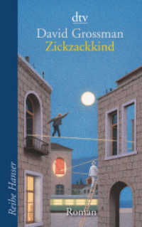 Zickzackkind (dtv Taschenbücher Bd.62028) （8. Aufl. 2010. 448 S. 191.00 mm）