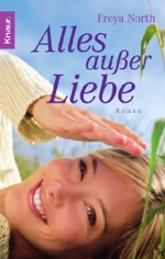 Alles außer Liebe : Roman (Knaur Taschenbücher Bd.63396) （Neuausg. 2007. 425 S. 18 cm）