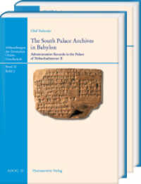The South Palace Archives in Babylon : Administrative Records in the Palace of Nebuchadnezzar II (Abhandlungen der Deutschen Orient-Gesellschaft)